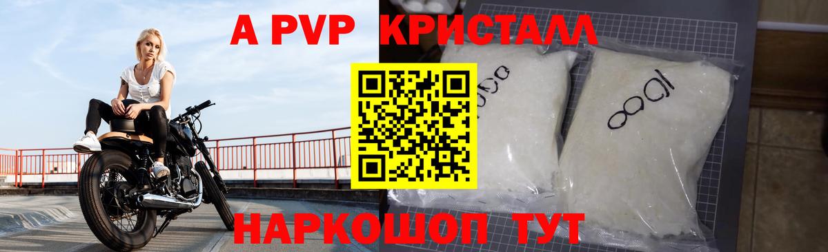 A PVP СК КРИС Сургут