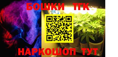 индика Пугачёв