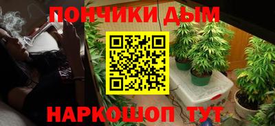 индика Пугачёв