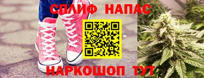 индика Пугачёв